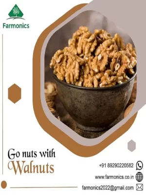 Premium Walnuts (Akhrot Giri)
